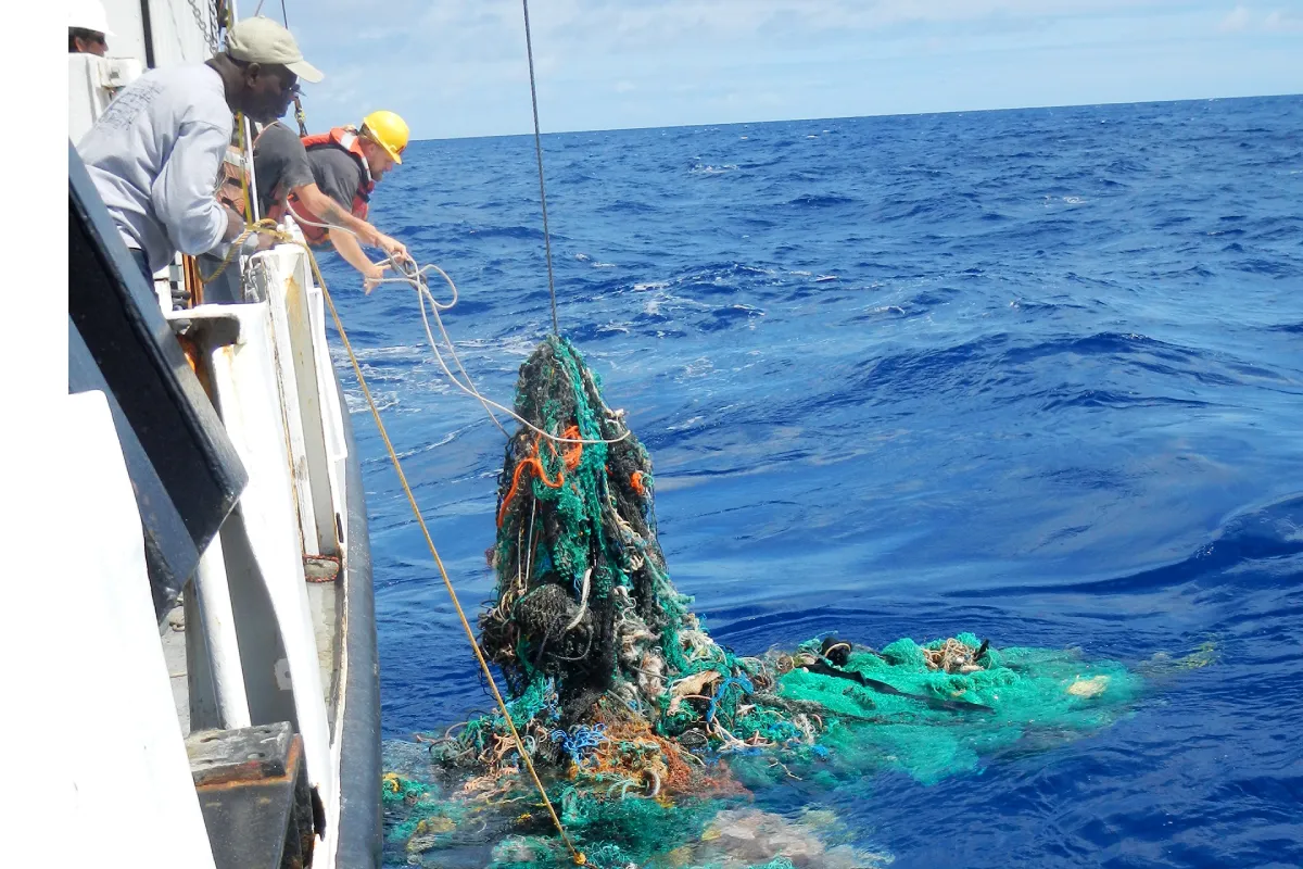 bluetech-for-zanzibar-protecting-oceans-with-innovation