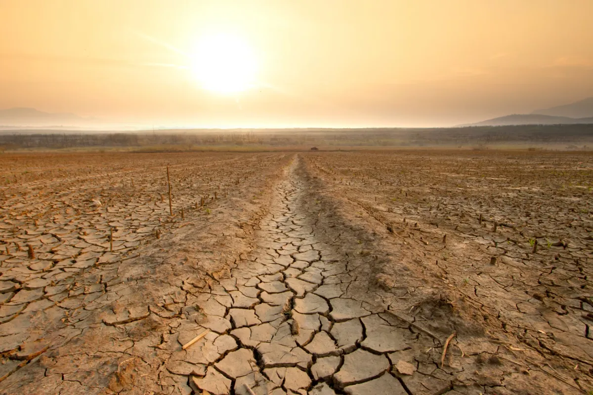 Building Climate Resilience Through Local Action
