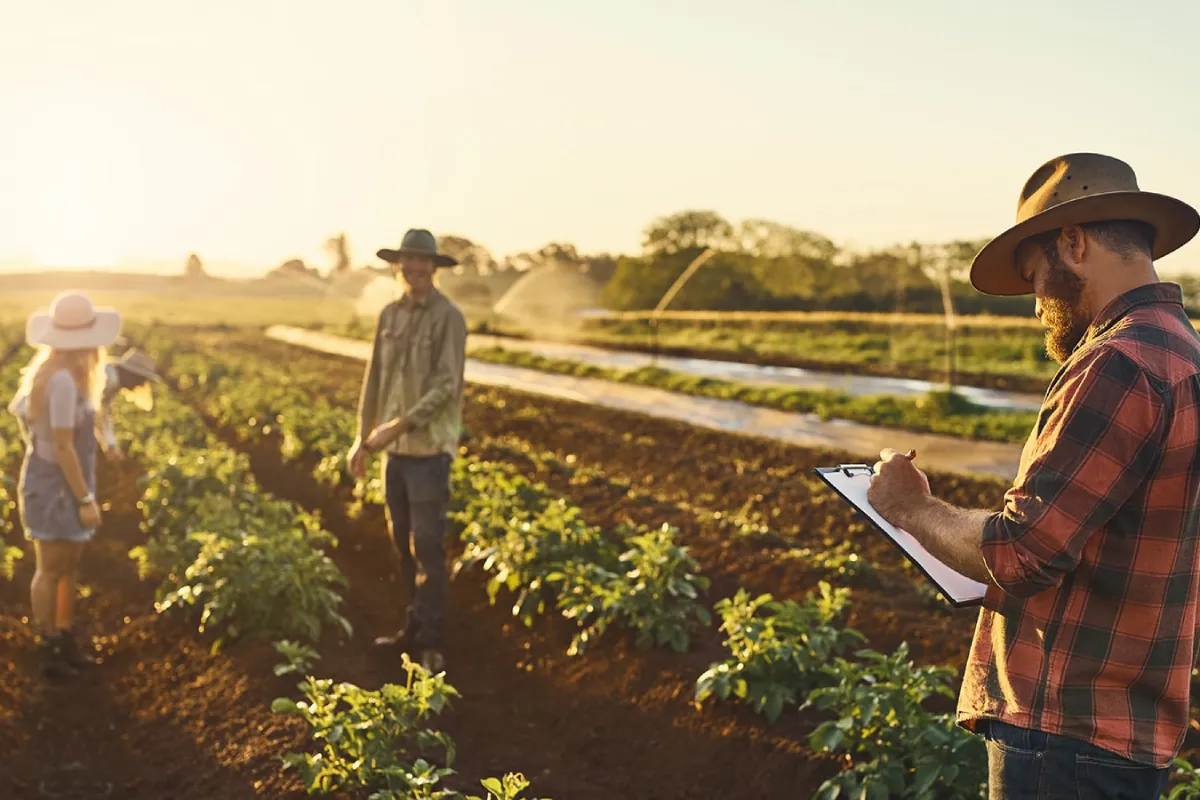 Farmers