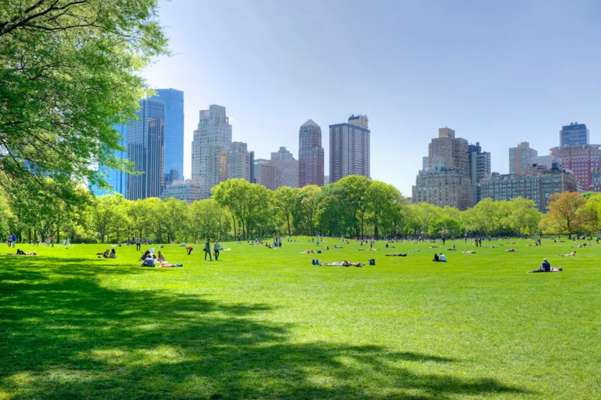 Building Climate Resilience Through Local Action