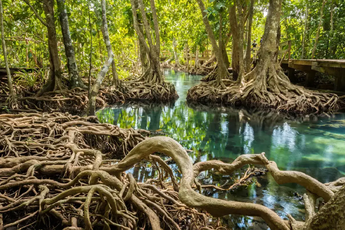 reviving-roots-restoring-futures