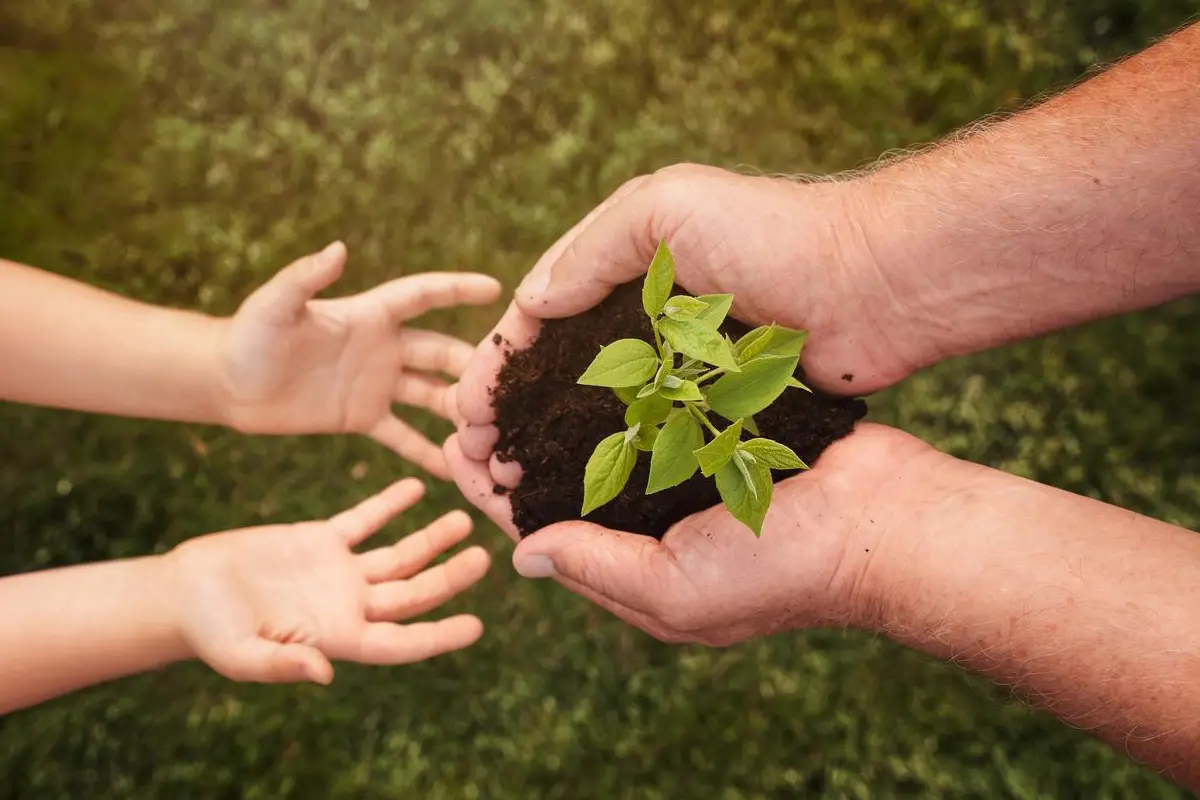 roots-of-change-reforestation-and-biodiversity-revival-in-zanzibar