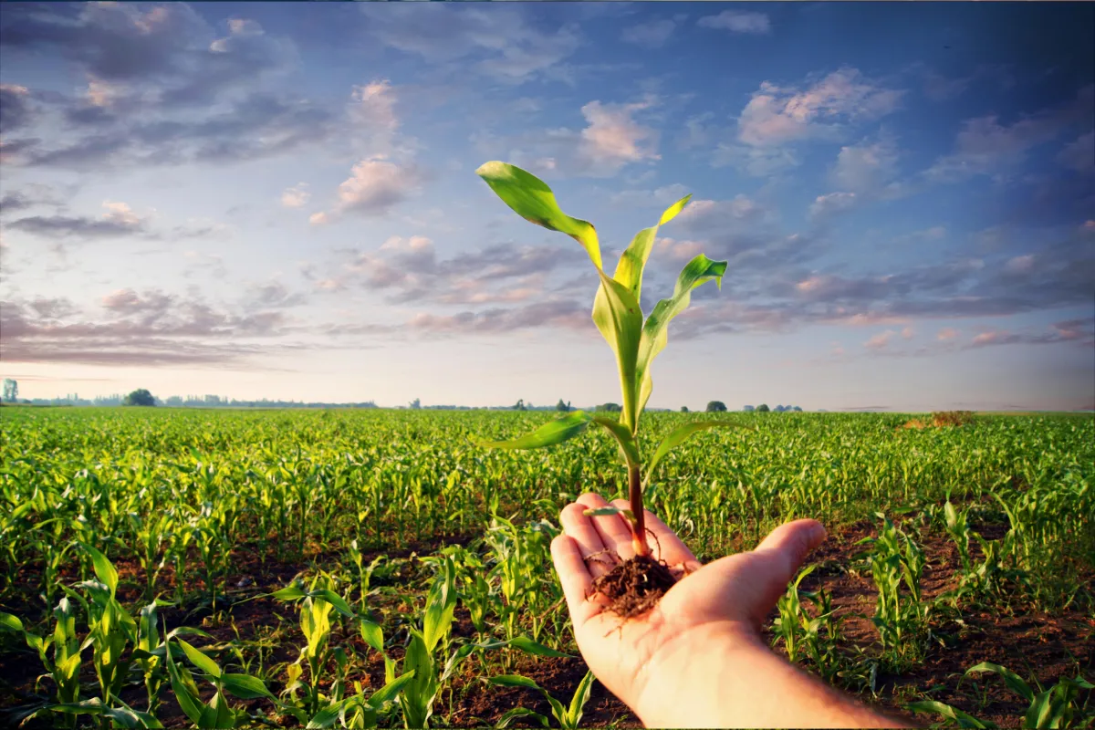smart-islands-greener-tomorrows-zanzibars-climate-tech-revolution