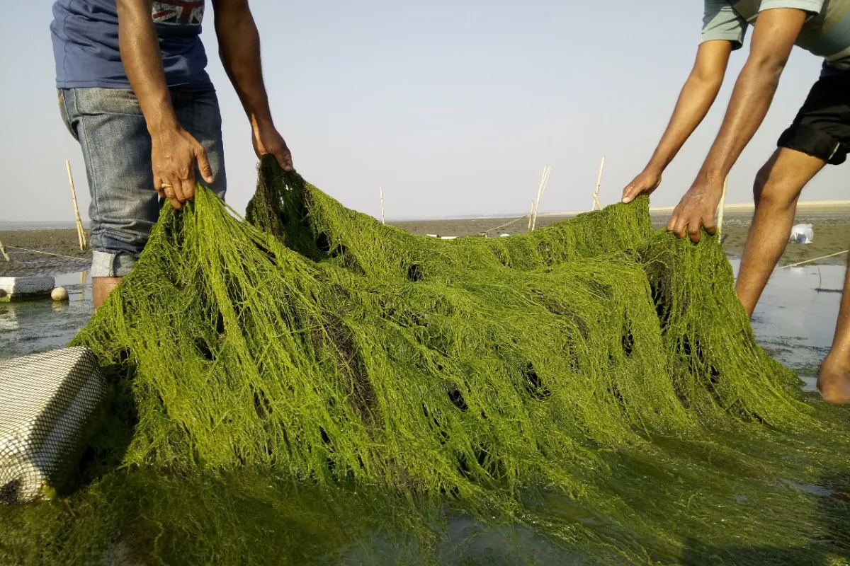 Building Climate Resilience Through Local Action