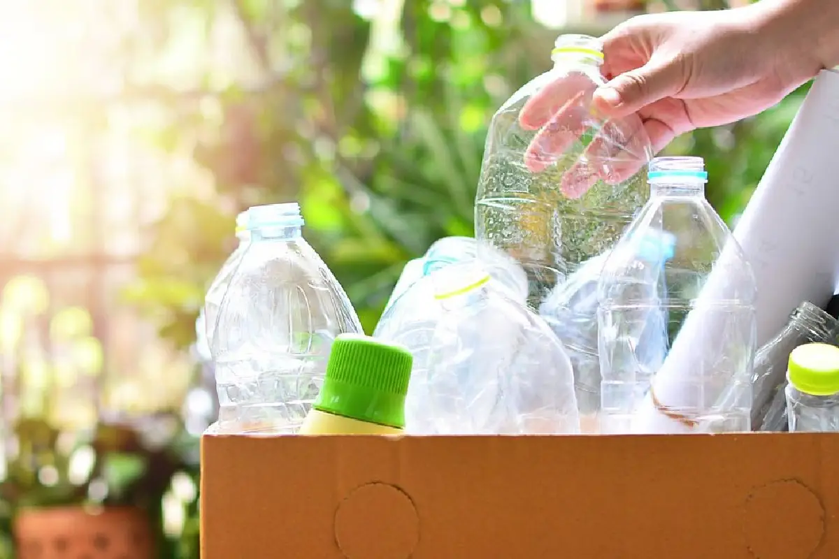 waste-not-zanzibar-turning-trash-into-treasure