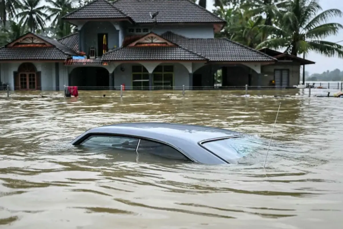water-wise-zanzibar-tackling-drought-and-flood-with-nature