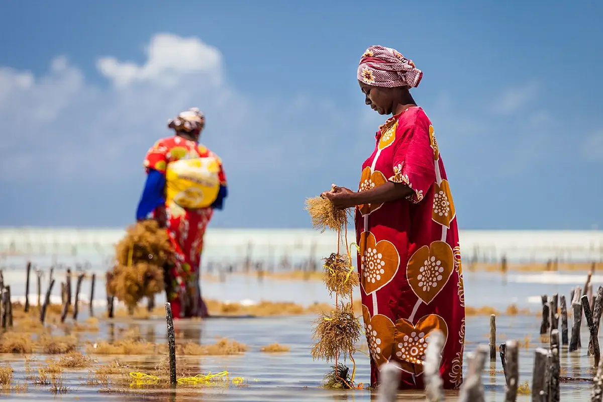 women-first-building-stronger-societies-in-zanzibar