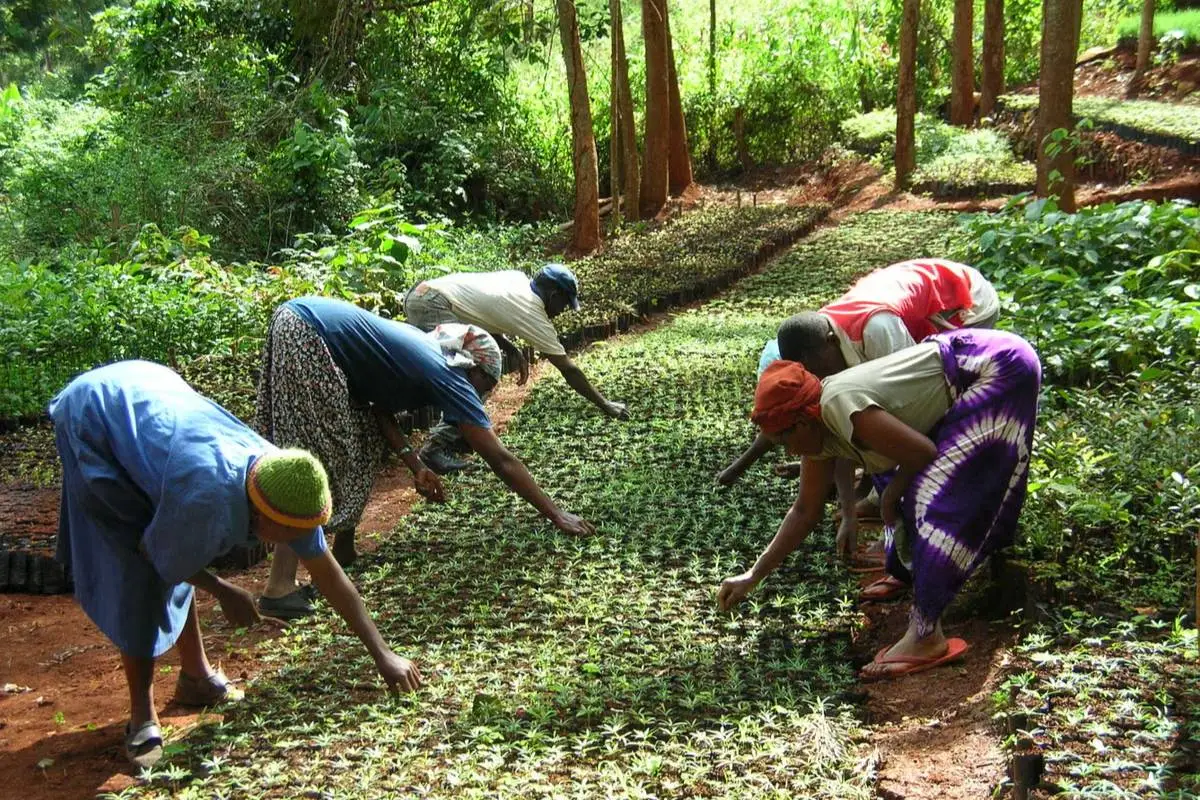 Building Climate Resilience Through Local Action