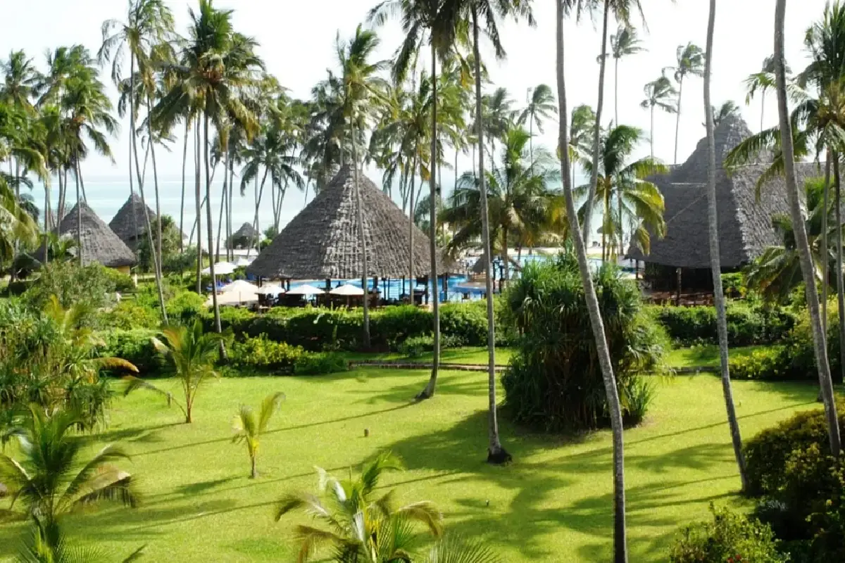 zanzibar-urban-green-greening-stone-town-for-a-healthier-tomorrow